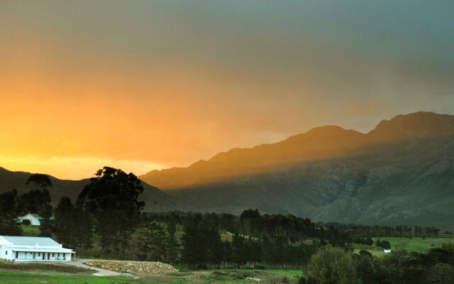 Endless Vineyards at Wildekrans Wine Estate