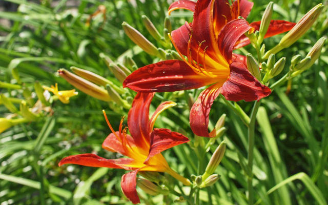 Waldhotel Felsenkeller