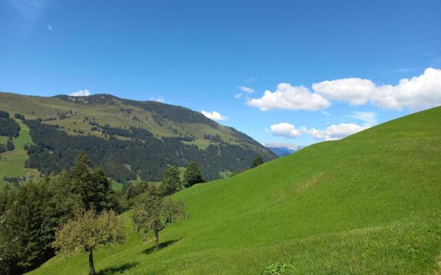 Appartement Bergblick