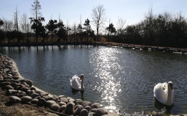 B&B Villa dei Cigni Reali