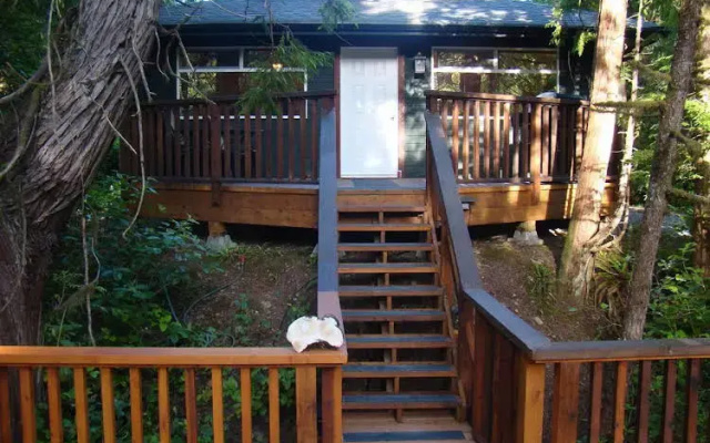 Tofino Forest View Cabin by Cox Bay
