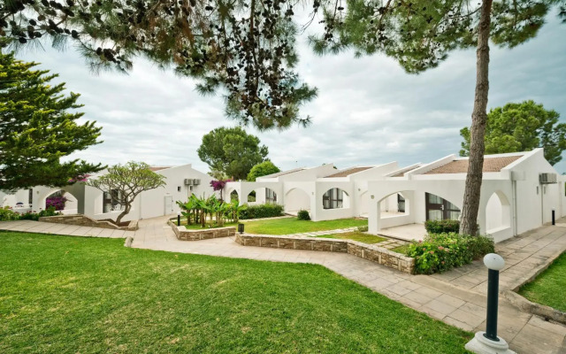 The Olive Tree Hotel