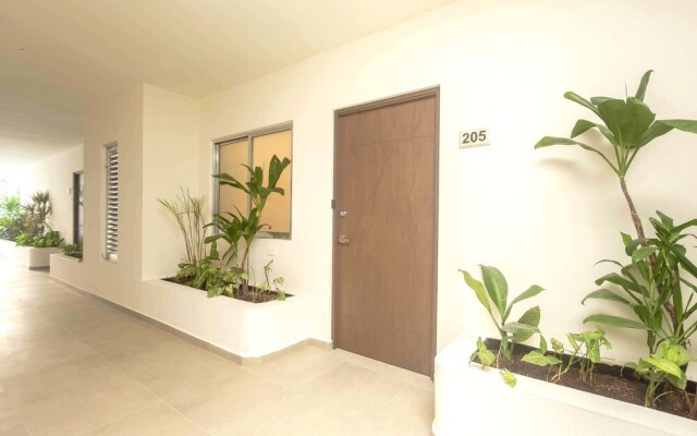 Solea by Mikitito Rentals