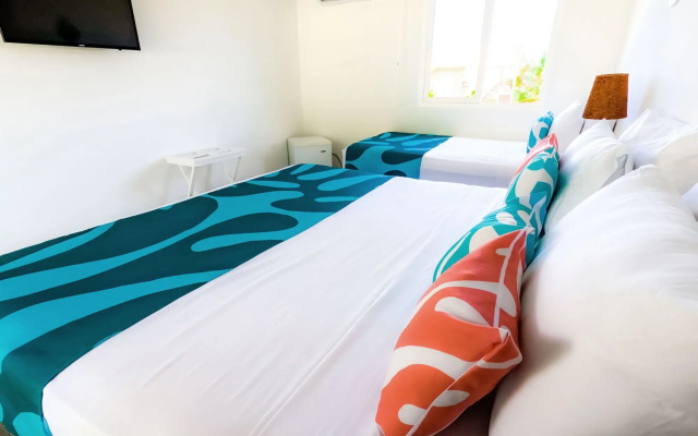 Caribbean Corals By Portofino