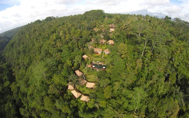 Nandini Jungle by Hanging Gardens