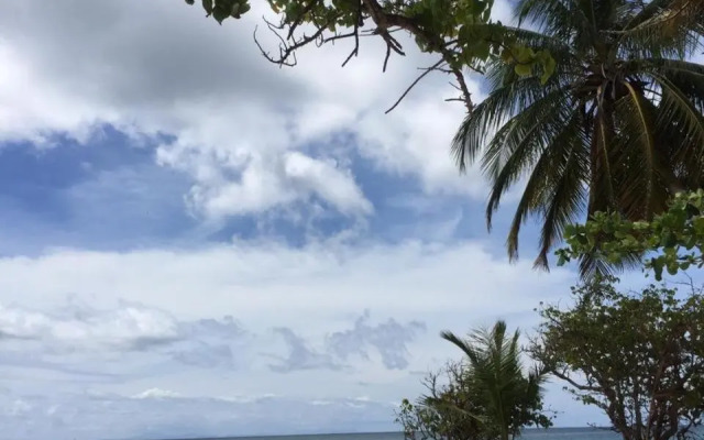 KAY MIT et KAY JACKO