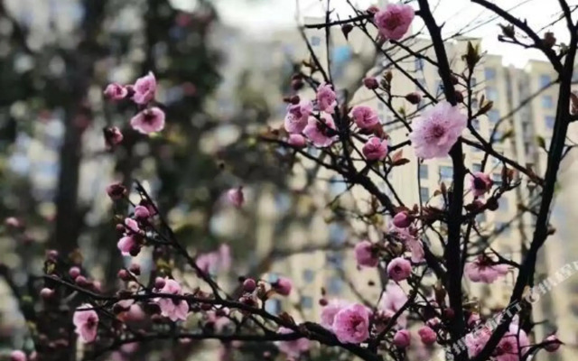 Qing Jiang Garden Hotel