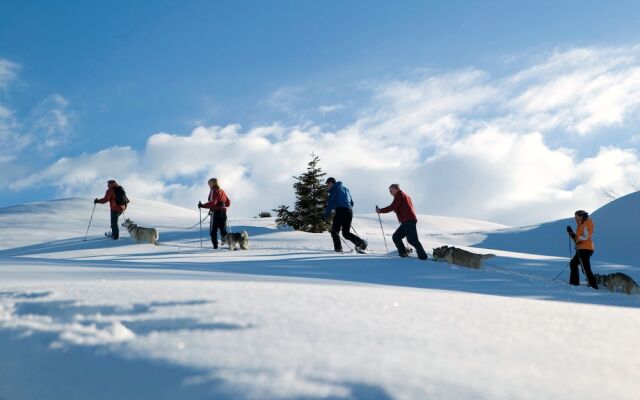 Lux Alp Chalet