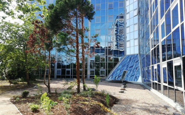 Luxury One Bedroom Apartment