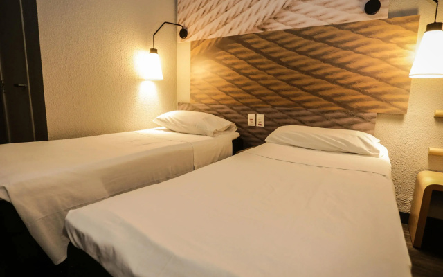 Ibis Teresina