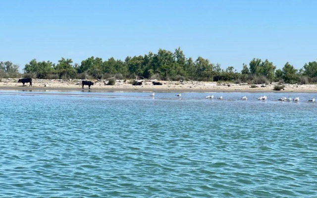 Résidence L’Oiseau des Sables