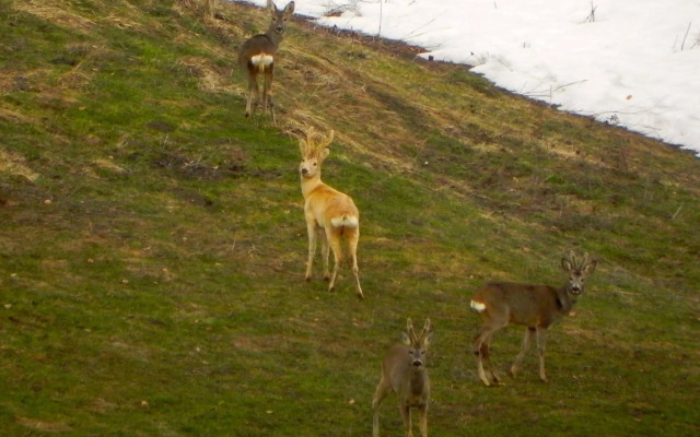 Rifugio Monte Baldo