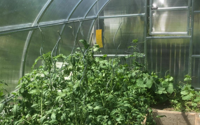 Penzion U Lucerny s malou farmičkou