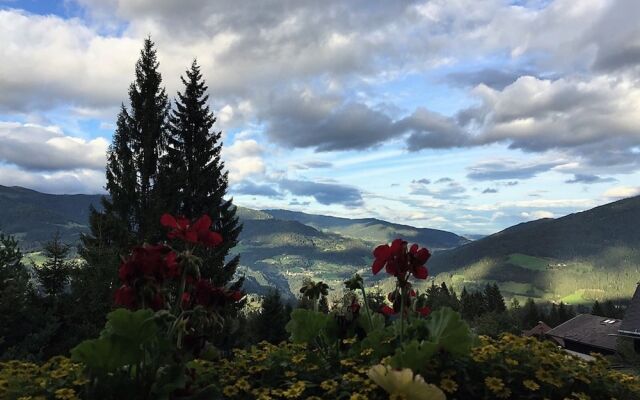 Private Chalet With Sauna in Afritz am See Carinthia