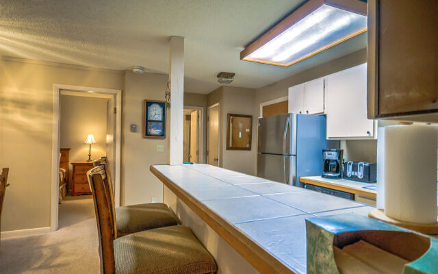 Storm Meadows East Slopeside