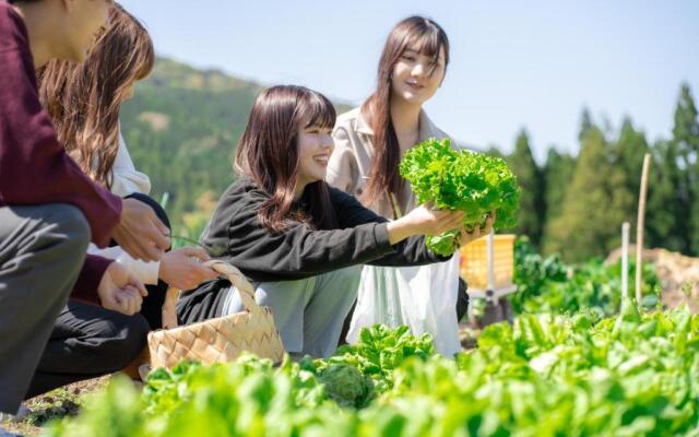 Bunkou Stay Haruhi