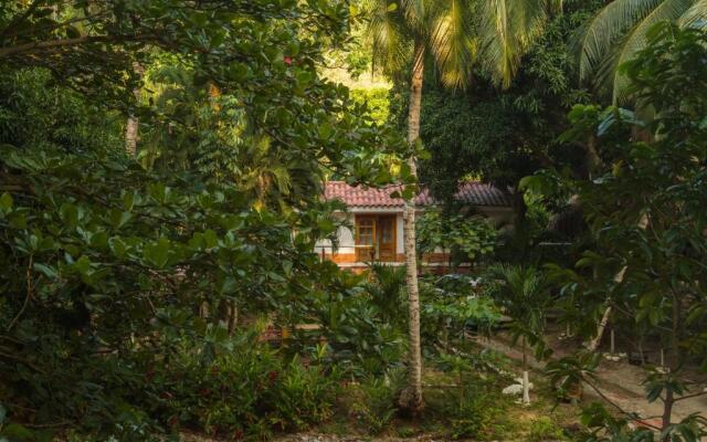 Manigua Tayrona Hostel