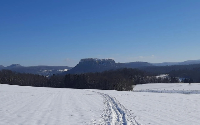 Pirna Altstadtgeflüster