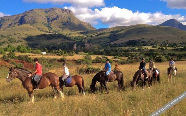 Lydenrust Guest Farm and Horse Trails