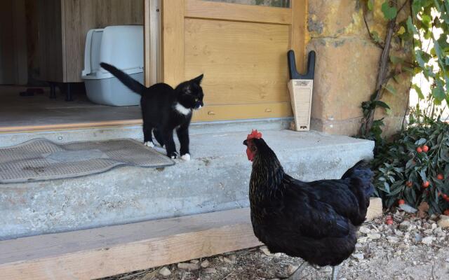 Lavish Home in Montferrand-du-périgord Aquitaine With Pool