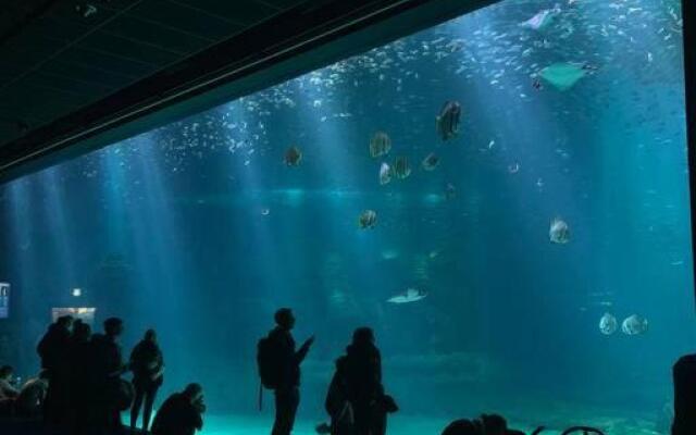 Appartement de 95 m2 bien situé