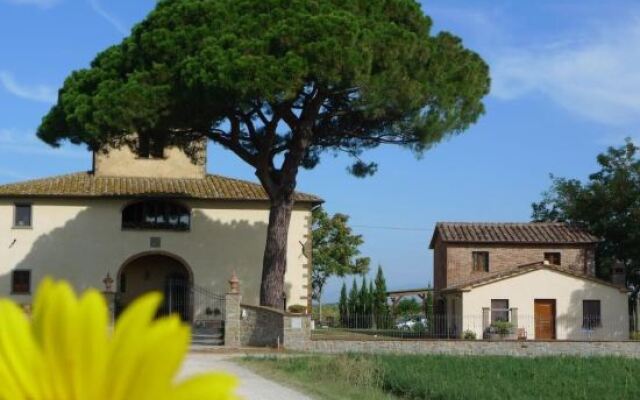 La Leopoldina Dei Fabbri