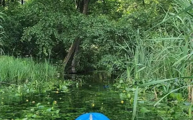 SIEDLISKO13