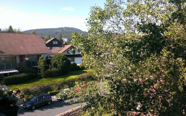 Wurmberg Hexe mit Blick auf den Wurmberg