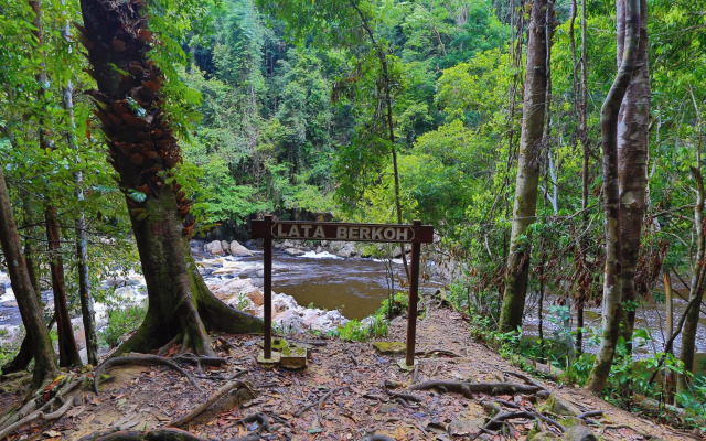 Mutiara Taman Negara