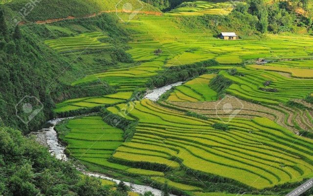 Canary Hotel Sapa