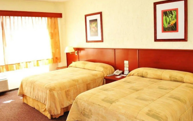 Hotel Marcella Clase Ejecutiva