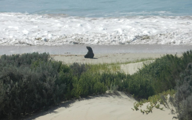 The Sparrow's Nest Beach-Front Self-catering