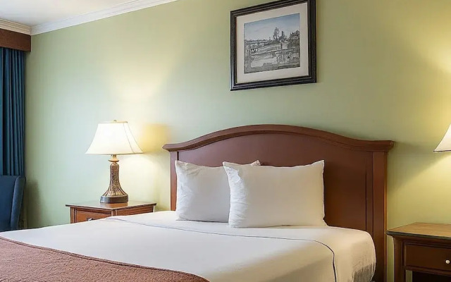 Midtown Inn
