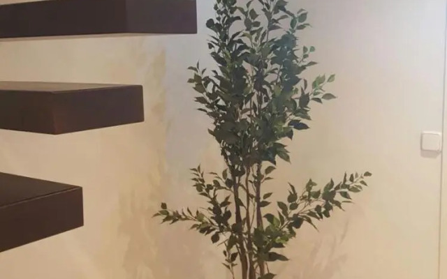 Puerta del Sol Center