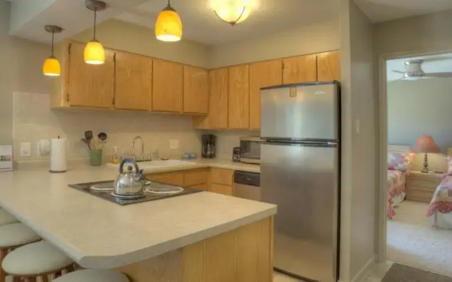 Durango Ski Condo