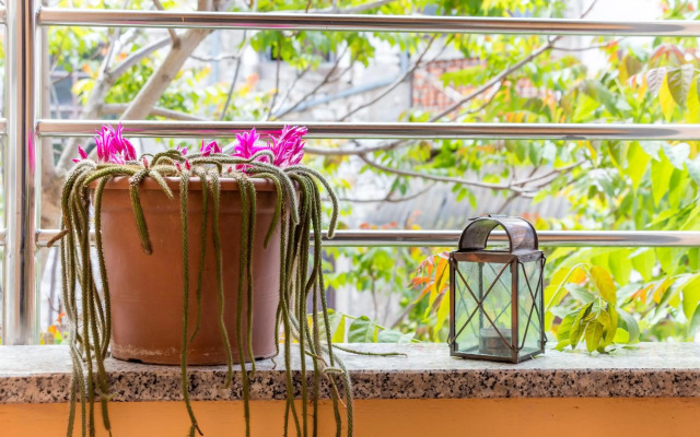 Top Center Apartment