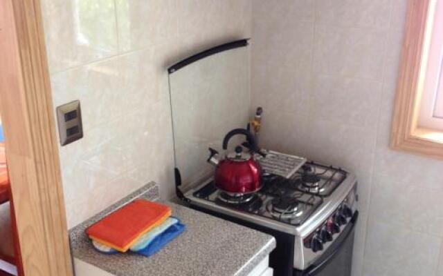 Cabañas Sur Patagón