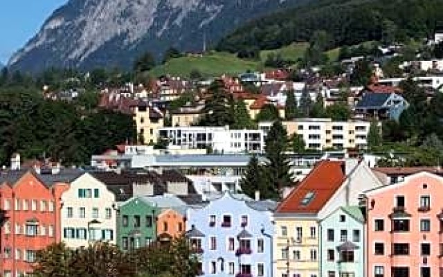 Schwarzer Bär