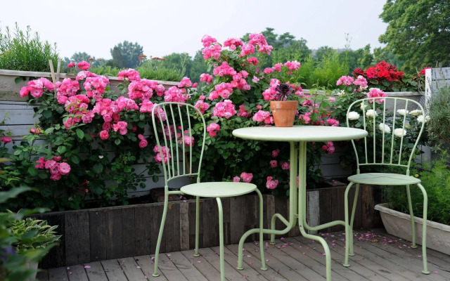 Peking International Youth Hostel