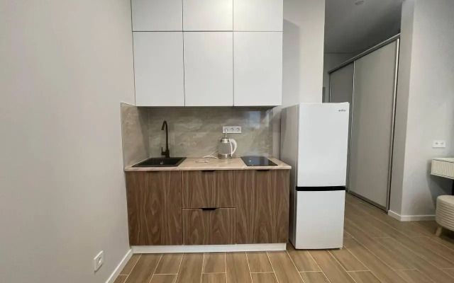 Apartments on Lenin street 219