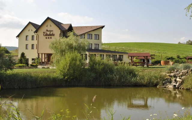 Pensiunea Violeta
