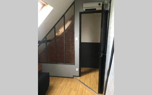 T3 duplex industriel hyper centre ville historique