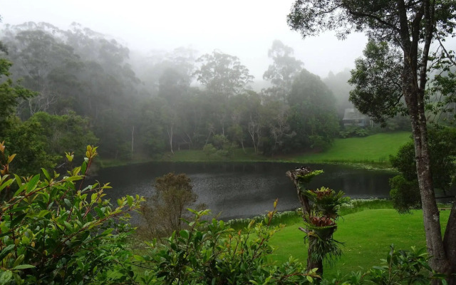 Montville Country Cabins