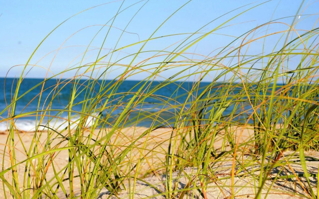 Seaspray Surf Lodge