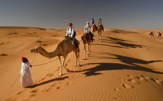 Sand Delight Tourism Camp