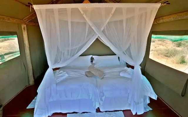 Intu Africa Suricate Tented Kalahari Lodge