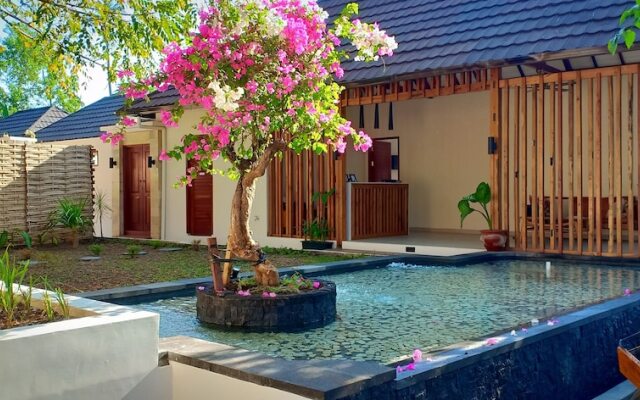 Scandinavia Gili Air