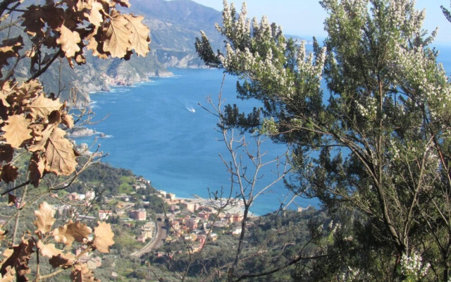 Green Quiet Affittacamere