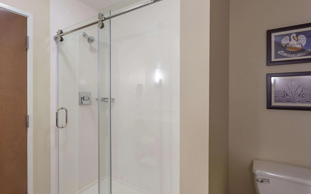 Comfort Inn & Suites Zachary