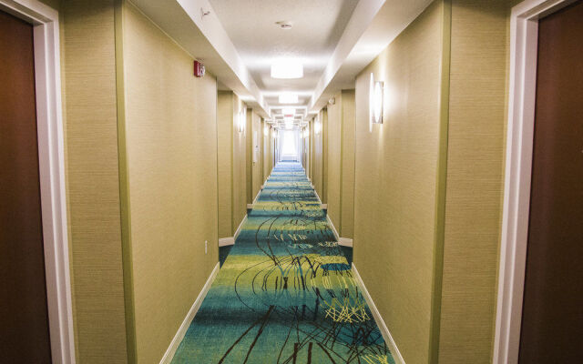 SpringHill Suites Jacksonville